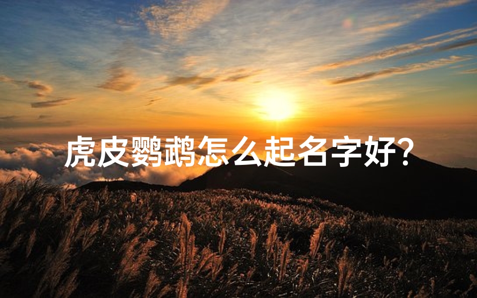 虎皮鹦鹉怎么起名字好?,《虎皮鹦鹉小孩儿:如何为可爱宝宝起名》
