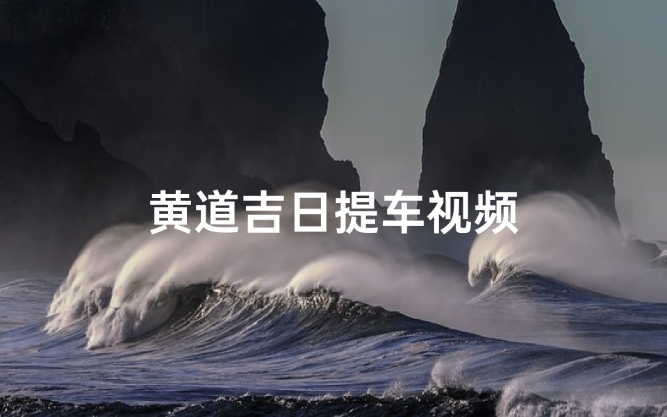 黄道吉日提车视频