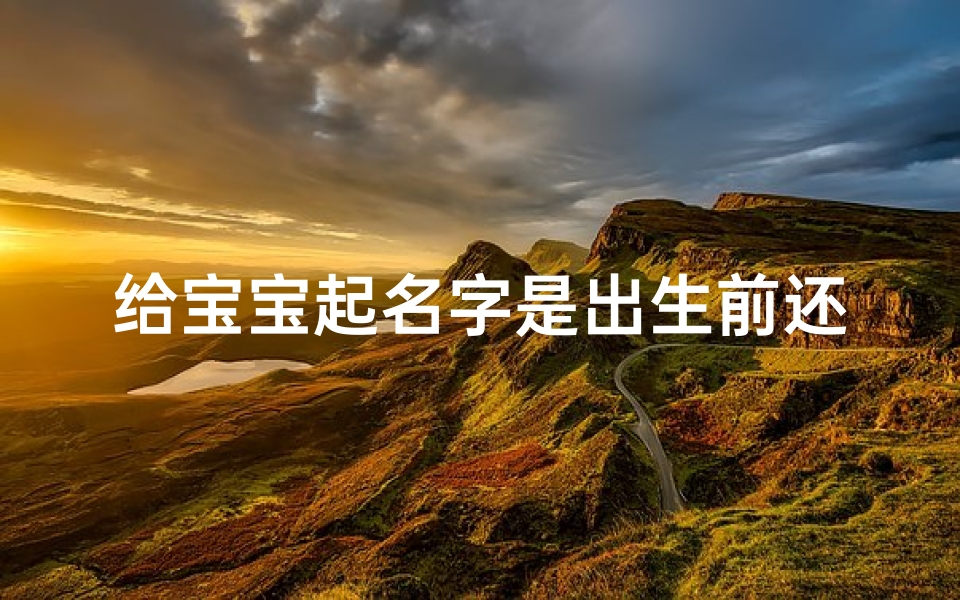 给宝宝起名字是出生前还是出生后-《宝宝降临前:揭秘新生儿起名奥秘》