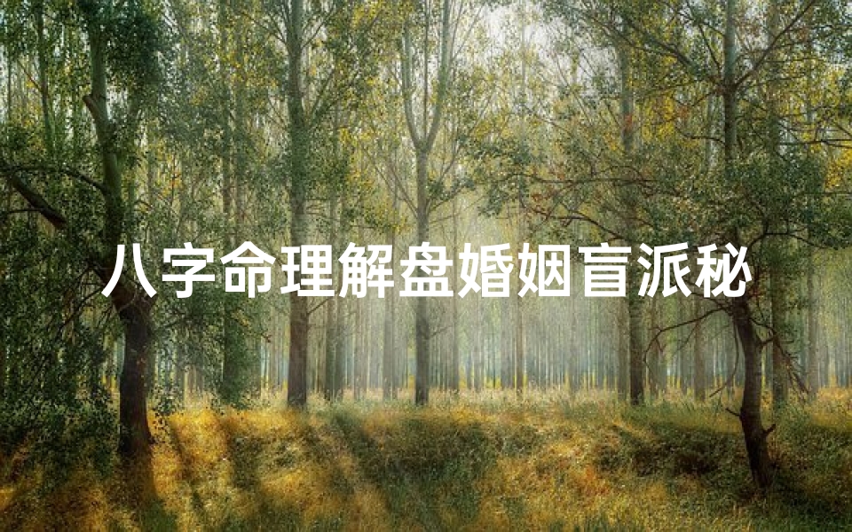 八字命理解盘婚姻盲派秘术揭秘