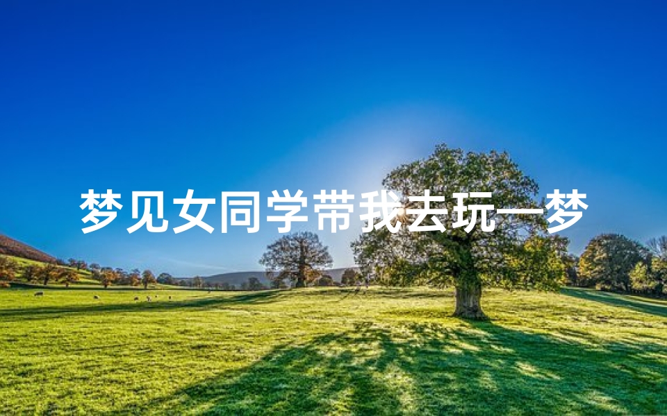 梦见女同学带我去玩—梦见女同学带小孩来我家做客