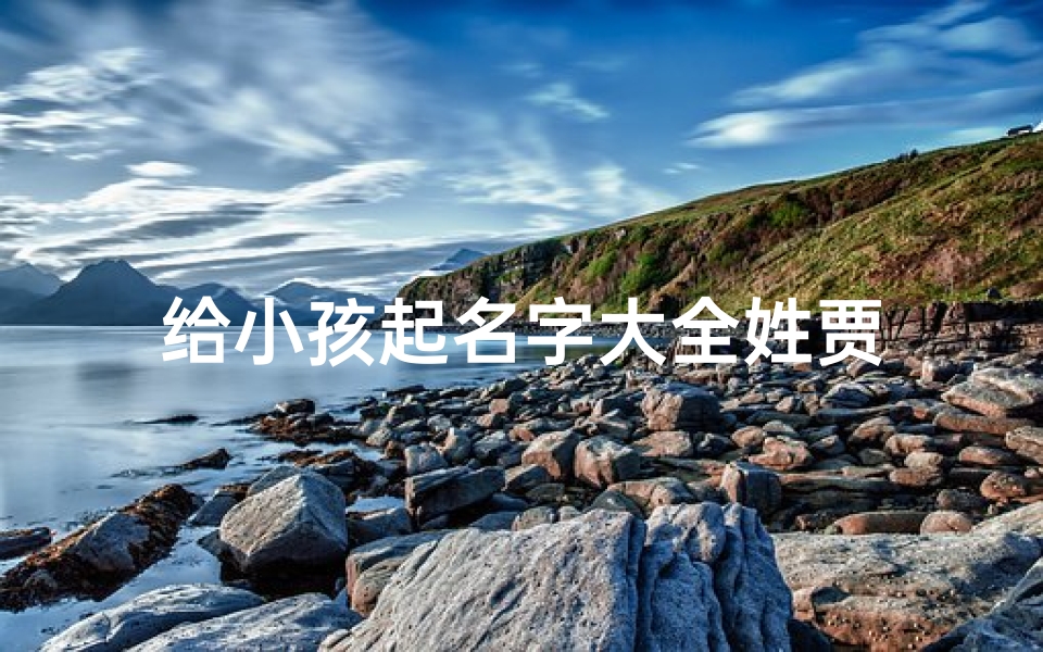给小孩起名字大全姓贾
