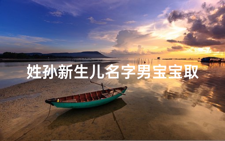 姓孙新生儿名字男宝宝取名