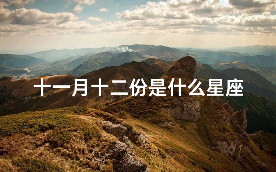 十一月十二份是什么星座的(十二星座是什么 )
