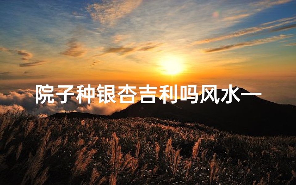 院子种银杏吉利吗风水—庭院银杏风水吉祥:银杏树下的风水秘籍