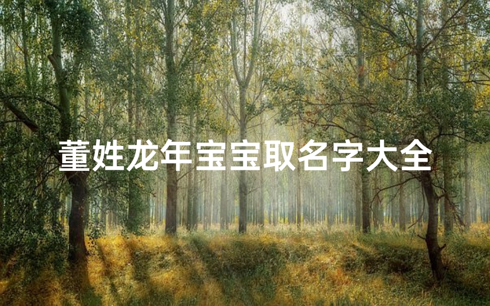董姓龙年宝宝取名字大全(姓董男孩的独特名字)