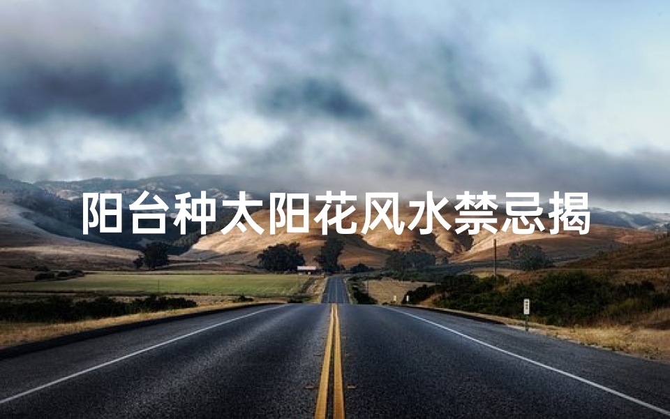 阳台种太阳花风水禁忌揭秘