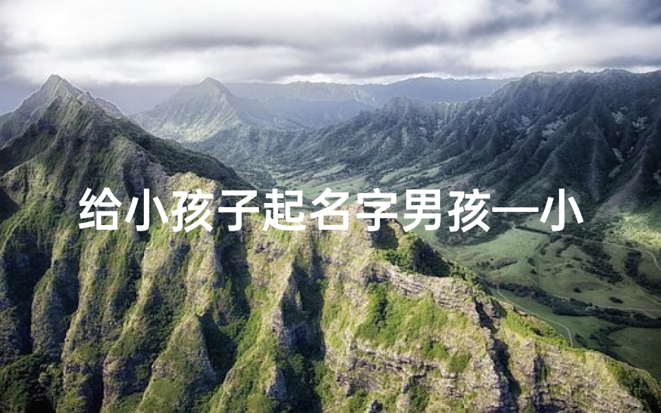 给小孩子起名字男孩—小孩子起名字男孩他哥叫裴是杨