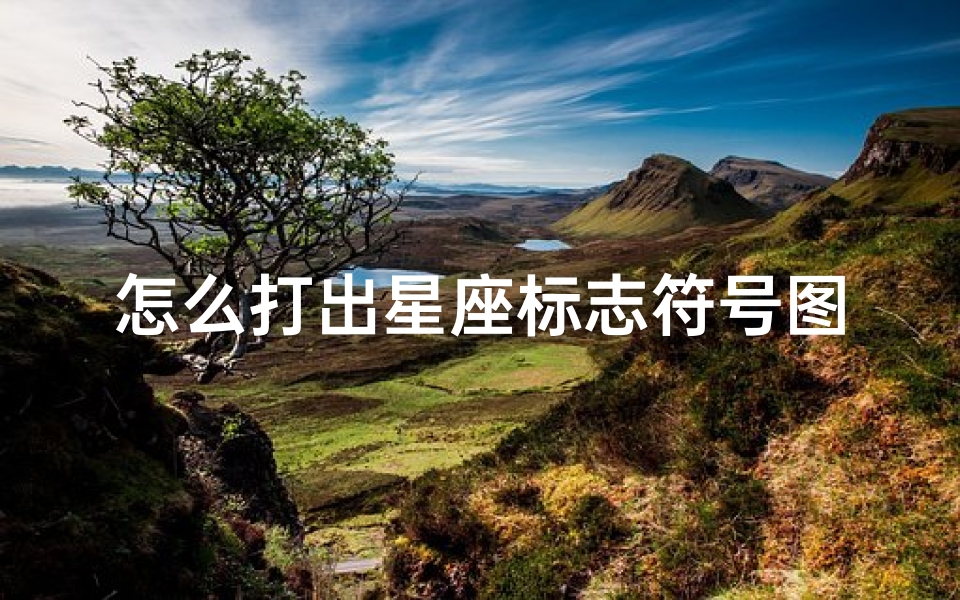 怎么打出星座标志符号图案(12星座的符号如何输入到文件里 )