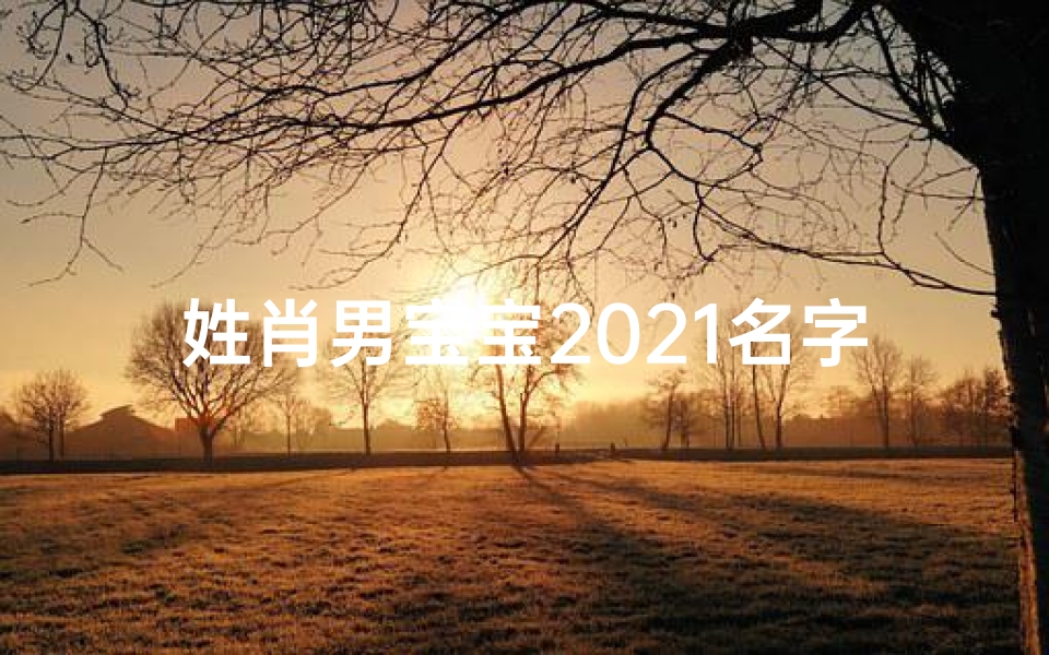 姓肖男宝宝2021名字大全_《肖姓龙宝宝取名大全:吉祥龙儿好名字精选》