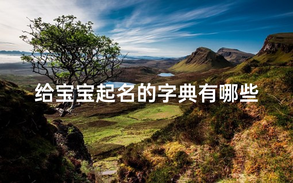 给宝宝起名的字典有哪些(康熙字典10画的字有哪些适合给宝宝起名)