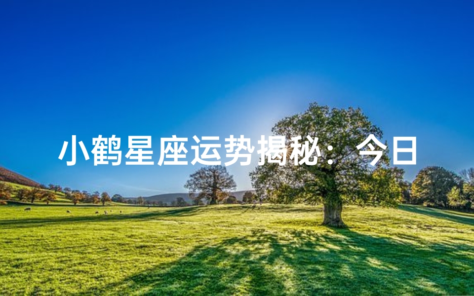 小鹤星座运势揭秘：今日运程一览无遗