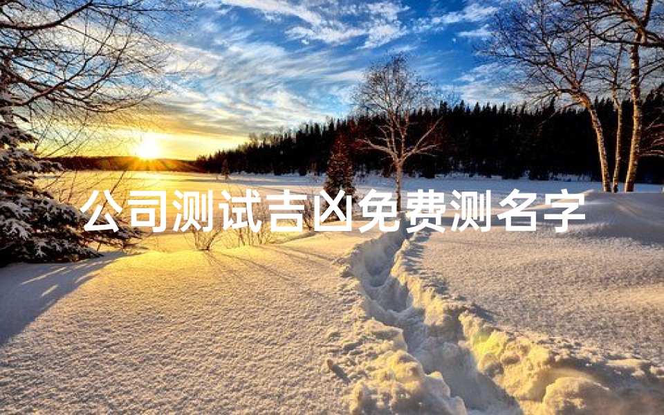 公司测试吉凶免费测名字(公司名字吉凶测算)
