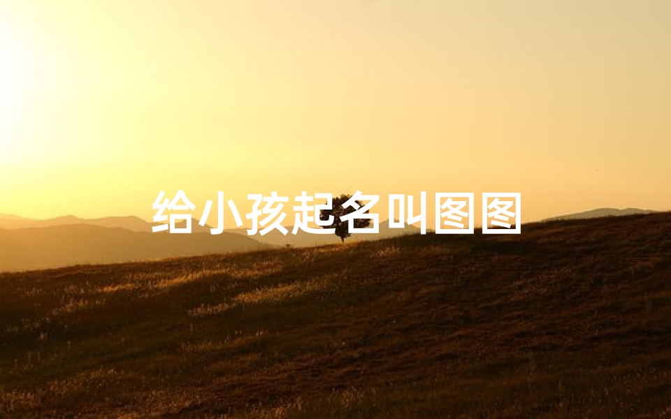 给小孩起名叫图图