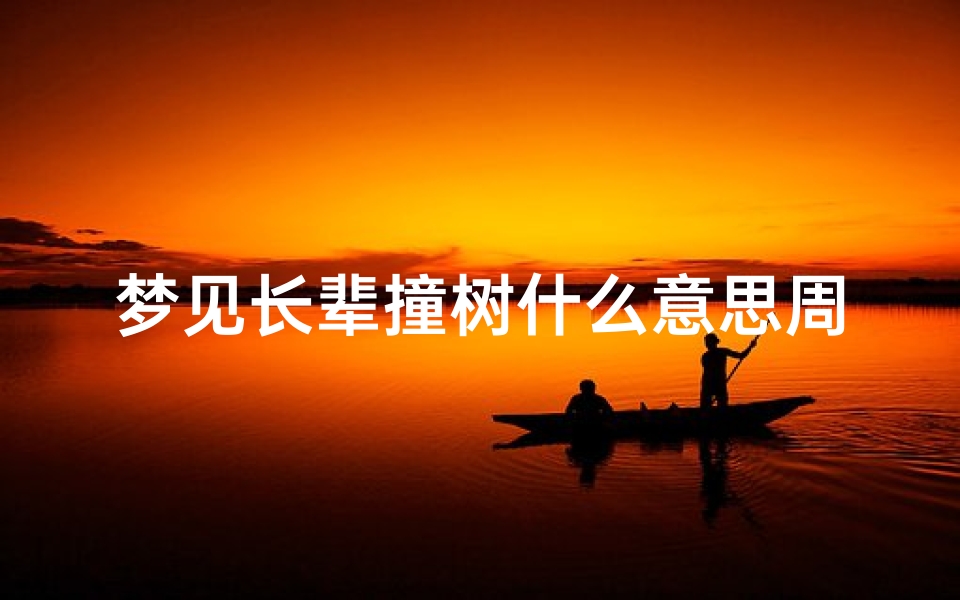 梦见长辈撞树什么意思周公解梦(梦见开车撞树是什么征兆 )