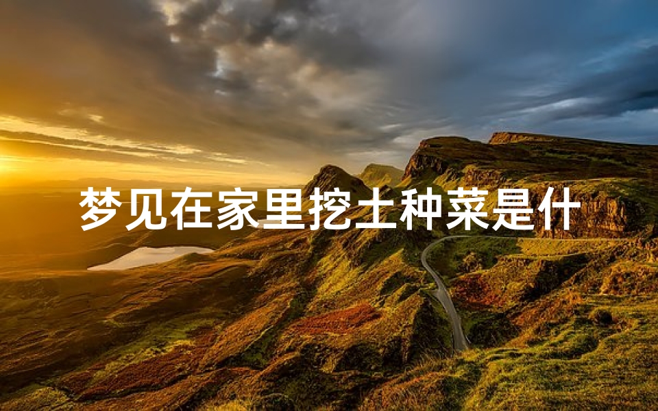 梦见在家里挖土种菜是什么意思,梦到在自己家里挖很多土