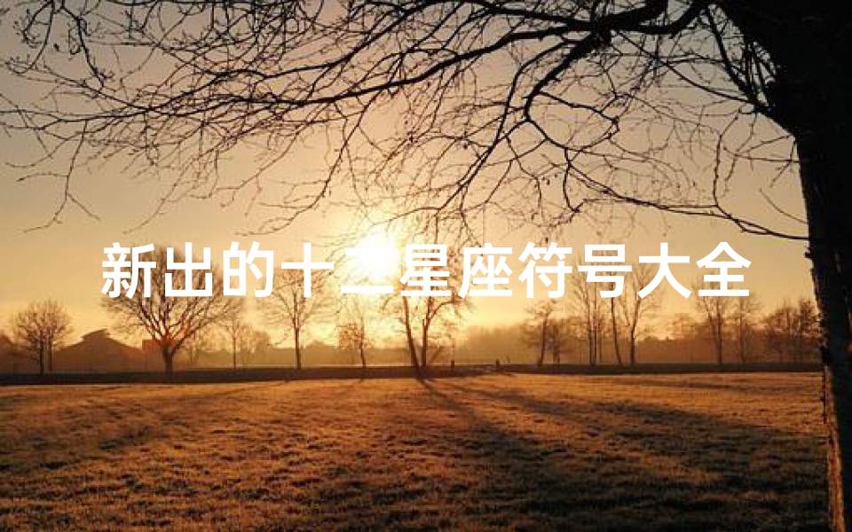 新出的十二星座符号大全(12星座符号)