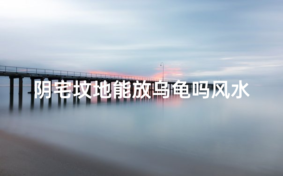 阴宅坟地能放乌龟吗风水、阴宅坟地放乌龟风水禁忌揭秘