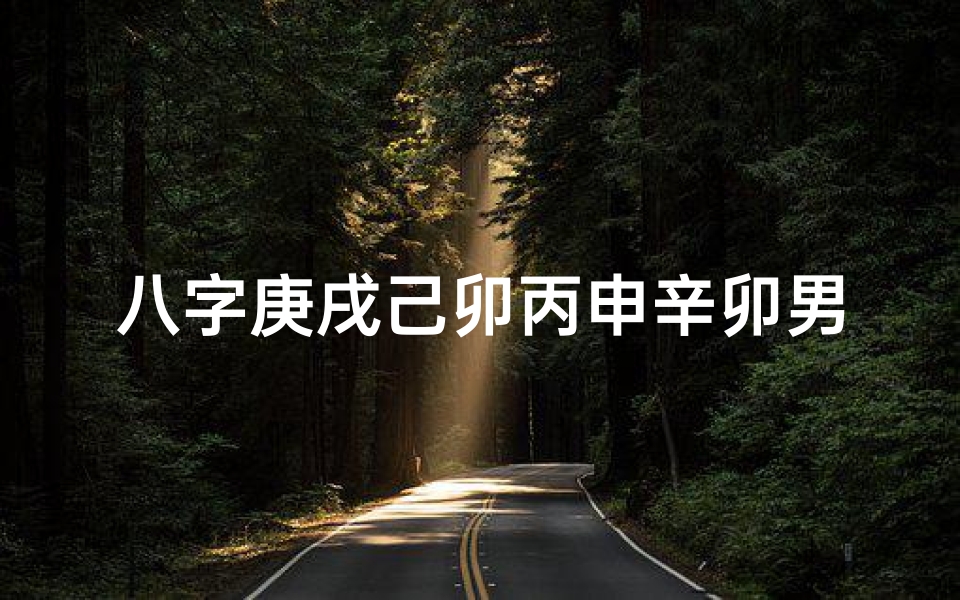 八字庚戌己卯丙申辛卯男命、庚戌己卯丙午壬辰