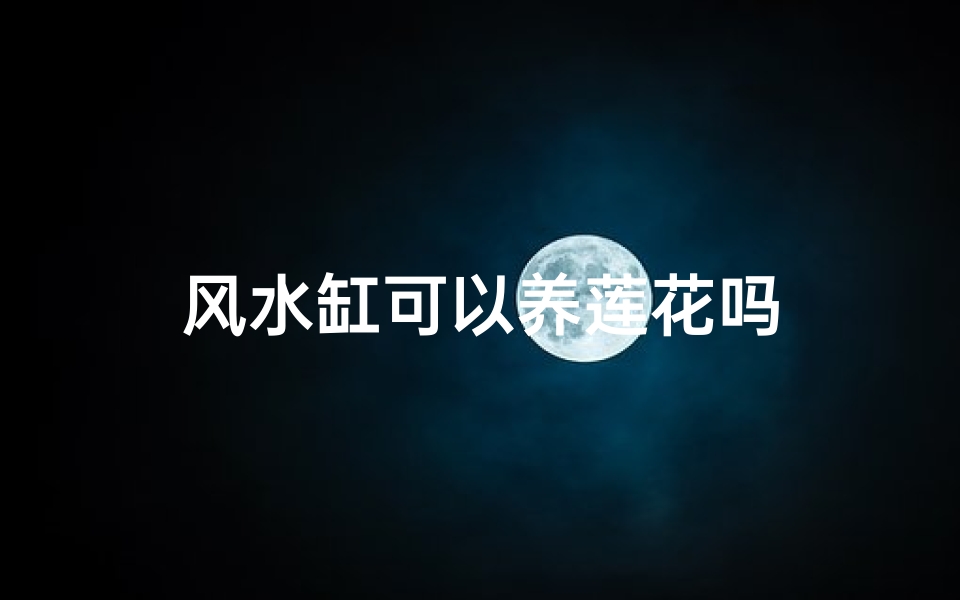风水缸可以养莲花吗