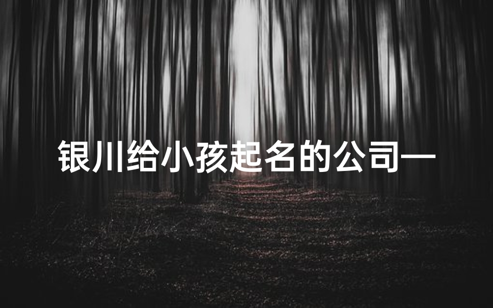 银川给小孩起名的公司—银川宝宝取名:传承银川之美,寓意满满的名字