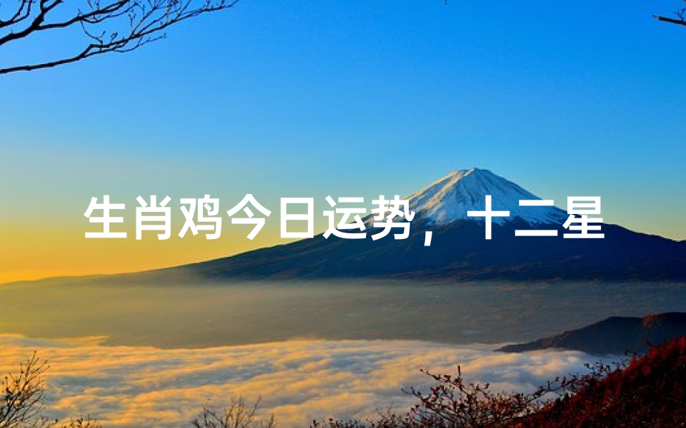 生肖鸡今日运势,十二星座运势解析
