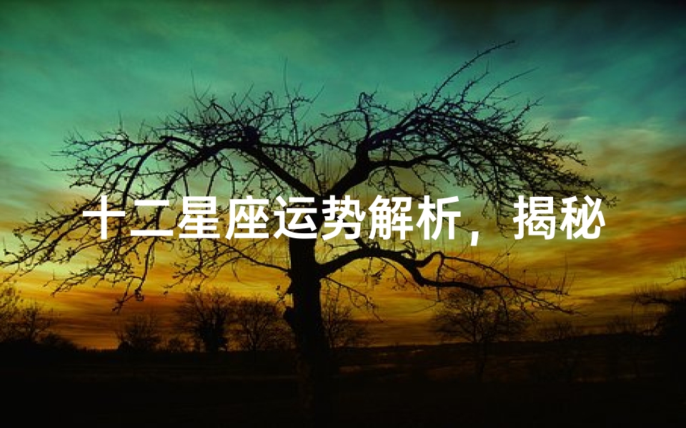 十二星座运势解析,揭秘你的命运劫数