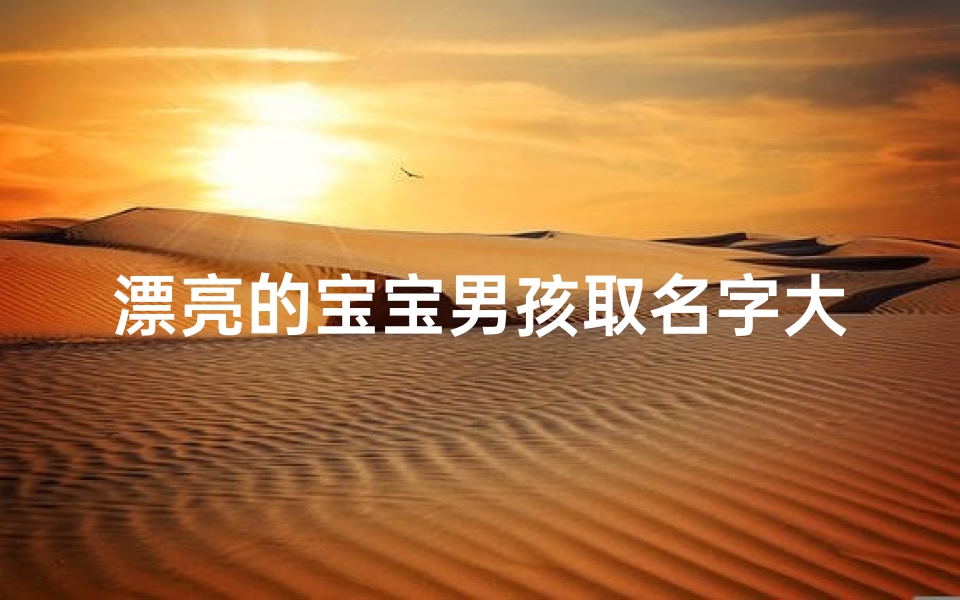 漂亮的宝宝男孩取名字大全,《精选宝宝男孩名字大全:美丽宝贝,智慧成长》