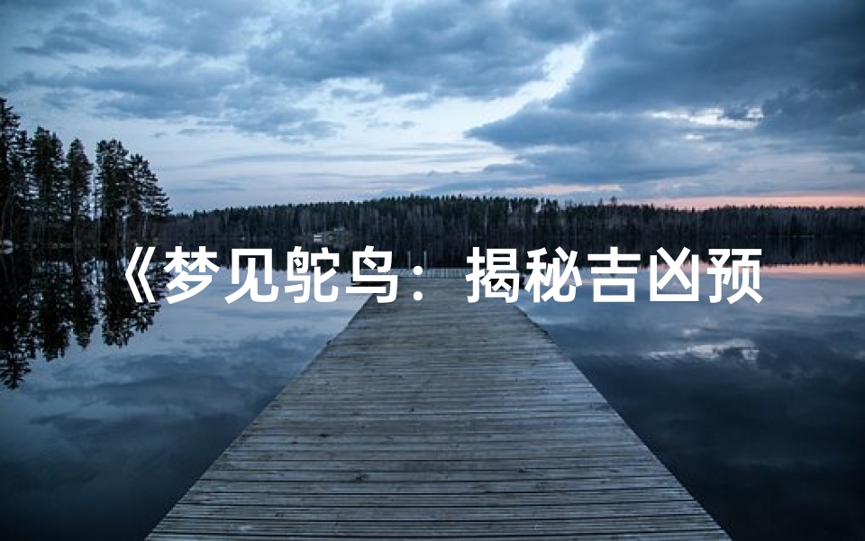 《梦见鸵鸟:揭秘吉凶预兆之谜》-东贵算卦网