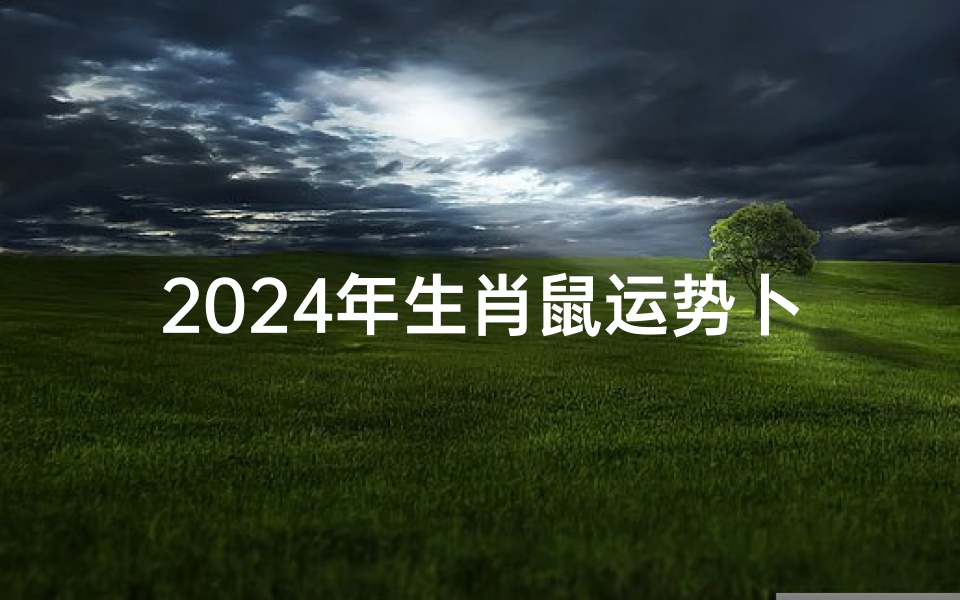 2024年生肖鼠运势卜易居—2024鼠年运势揭秘:金鼠跃龙门,好运连连