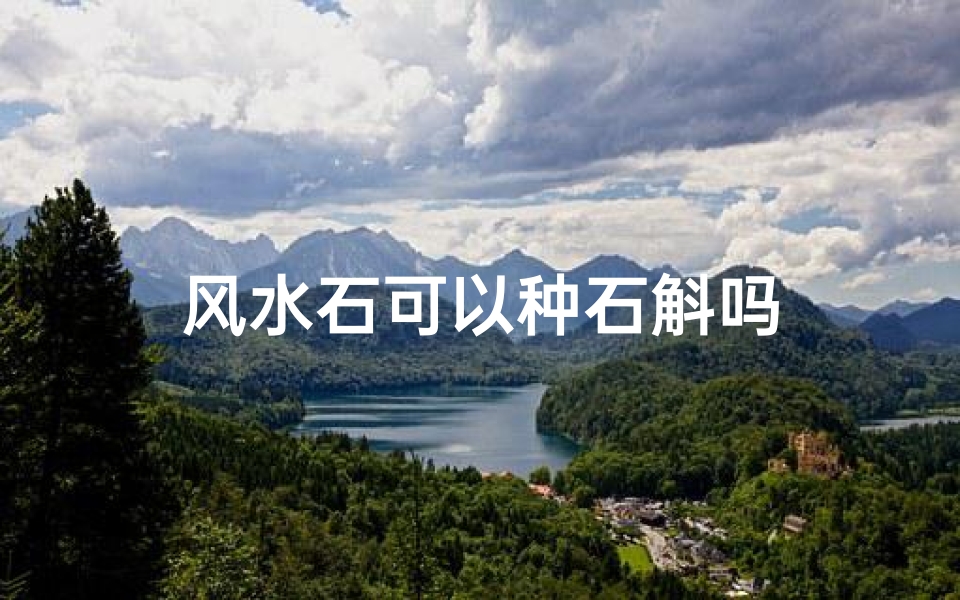 风水石可以种石斛吗