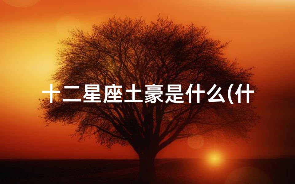 十二星座土豪是什么(什么星座最有钱)