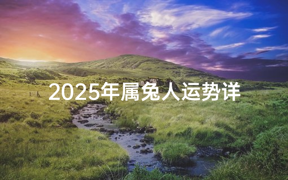 2025年属兔人运势详解,生肖兔流年运程分析
