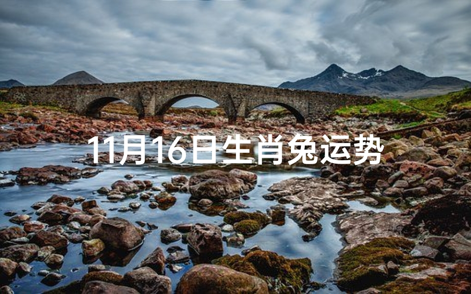 11月16日生肖兔运势、11月16号运势