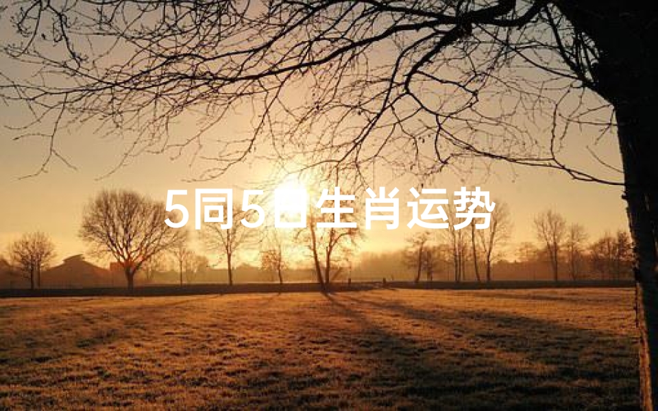 5同5日生肖运势
