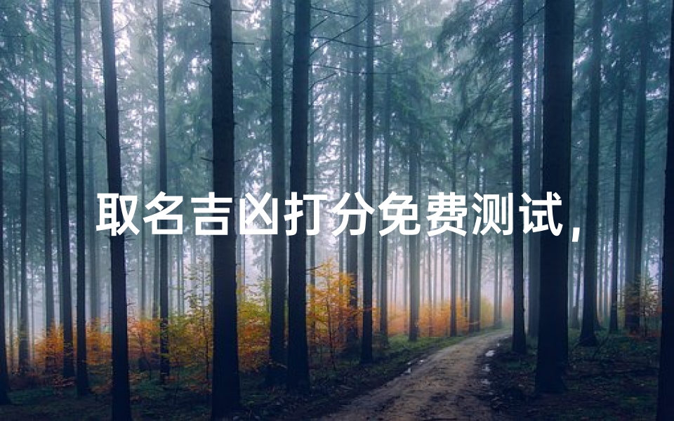 取名吉凶打分免费测试,名字好坏一测便知