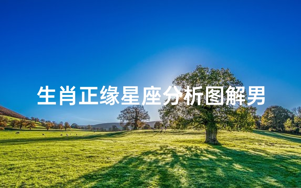 生肖正缘星座分析图解男(在虎年什么星座的男生,可以找到自己的正缘呢 )