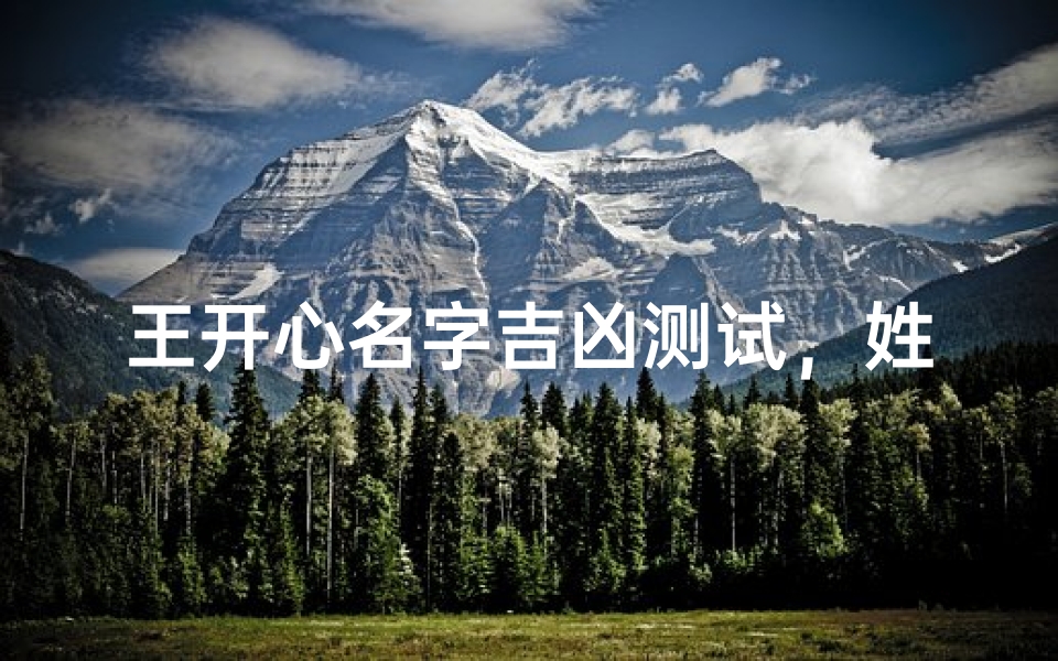 王开心名字吉凶测试,姓名学解析与运势分析