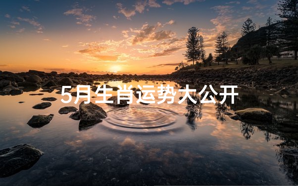 5月生肖运势大公开