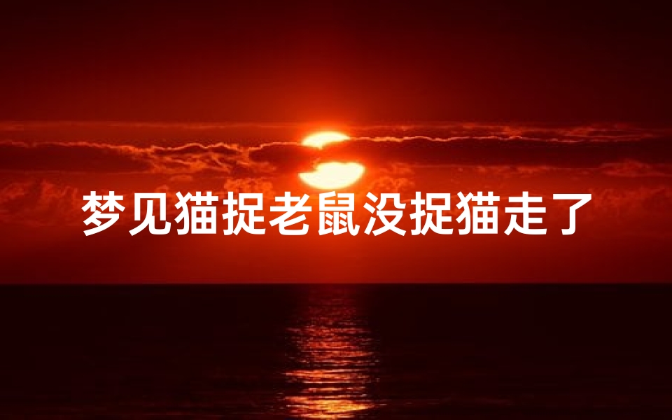梦见猫捉老鼠没捉猫走了—梦见猫捉老鼠没捉猫走了什么意思