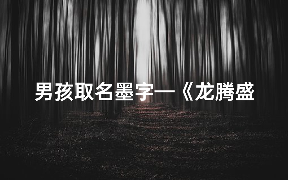 男孩取名墨字—《龙腾盛世，墨韵悠长：2024龙年男宝宝墨字取名精选》