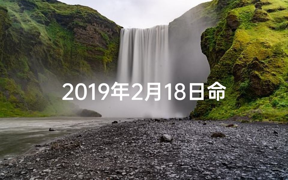 2019年2月18日命理(2019年出生的孩子是什么命 )