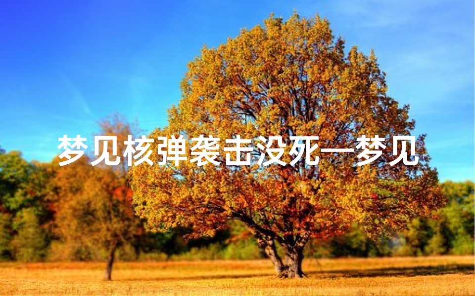 梦见核弹袭击没死—梦见核弹袭击没死人
