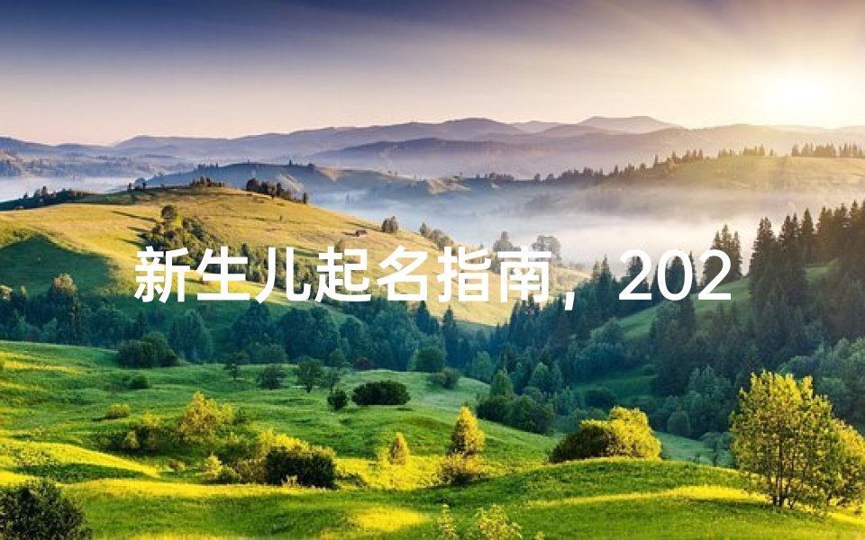 新生儿起名指南,2024最新宝宝取名技巧与寓意解析