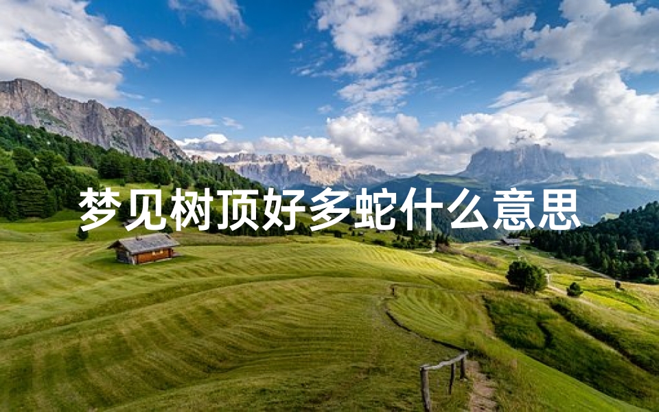 梦见树顶好多蛇什么意思_梦见大树顶