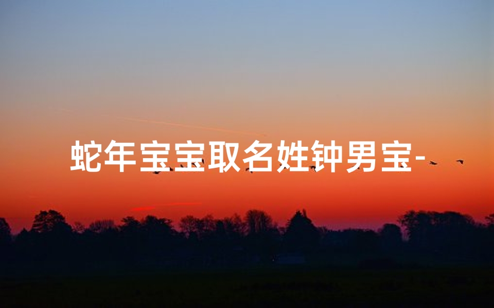 蛇年宝宝取名姓钟男宝-钟家蛇年添贵子,男宝取名寓意长