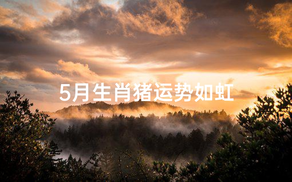 5月生肖猪运势如虹