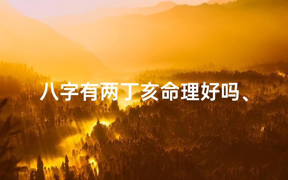 八字有两丁亥命理好吗、八字两丁是什么命理