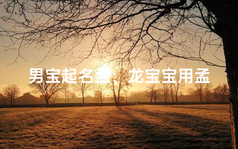男宝起名孟、龙宝宝用孟字取名,寓意非凡的男孩名字揭晓