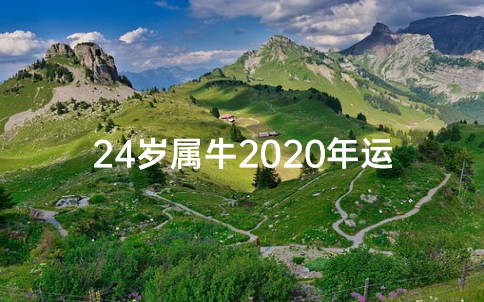24岁属牛2020年运势_牛年运势揭秘:29岁左右必看生肖运势大解析